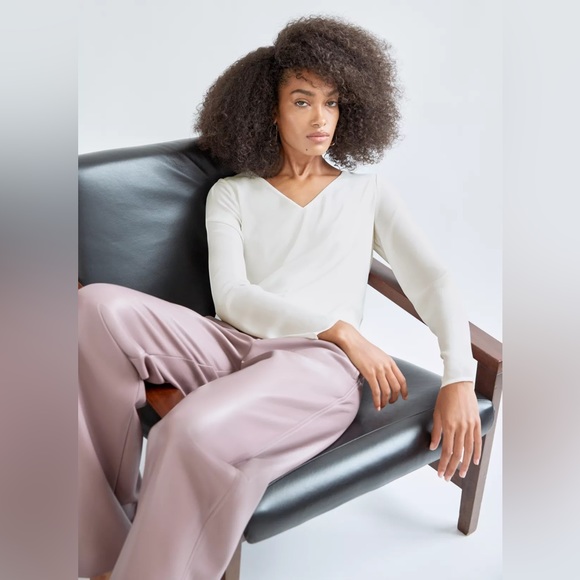 Aritzia Babaton Murphy Ling Sleeve V-neck Blouse - Picture 6 of 11